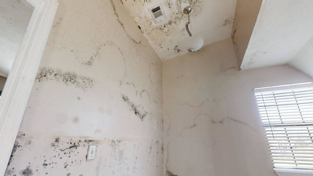 Best Industrial Mold Remediation  in Lemoore, CA