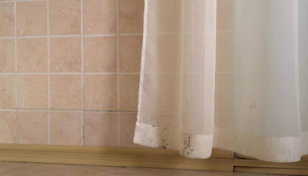 Best Forensic Mold Investigation  in Lemoore, CA