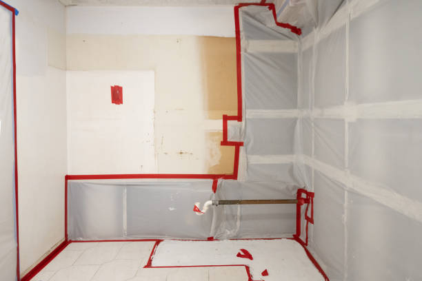 Best Water Damage & Mold Remediation  in Lemoore, CA