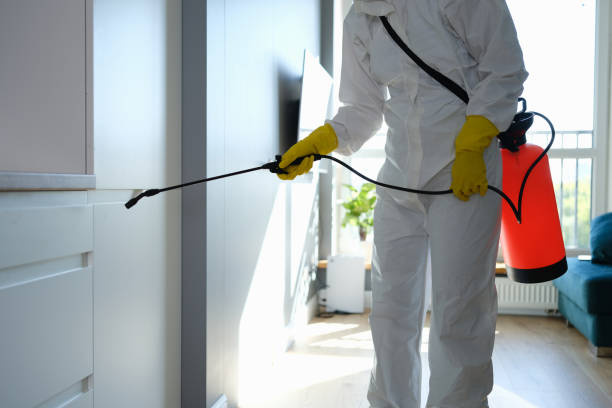 Best Basement Mold Removal  in Lemoore, CA
