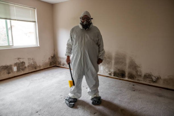 Best Emergency Mold Remediation  in Lemoore, CA