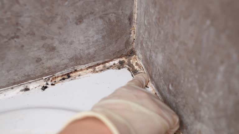 Best Indoor Air Quality Assessment  in Lemoore, CA